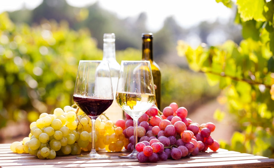 Red wine vs white wine