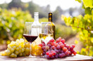 Red wine vs white wine