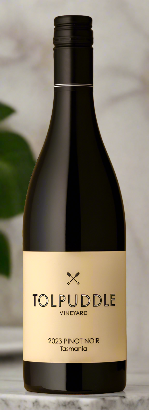 2020 Tolpuddle Vineyard Pinot Noir