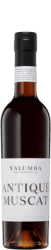 Yalumba Antique Muscat 375mL (BOX OF 6)