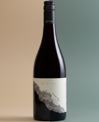 Rising Gamay