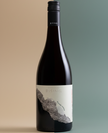 Rising Gamay