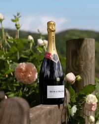 Bollinger Special Cuvée Brut NV Champagne