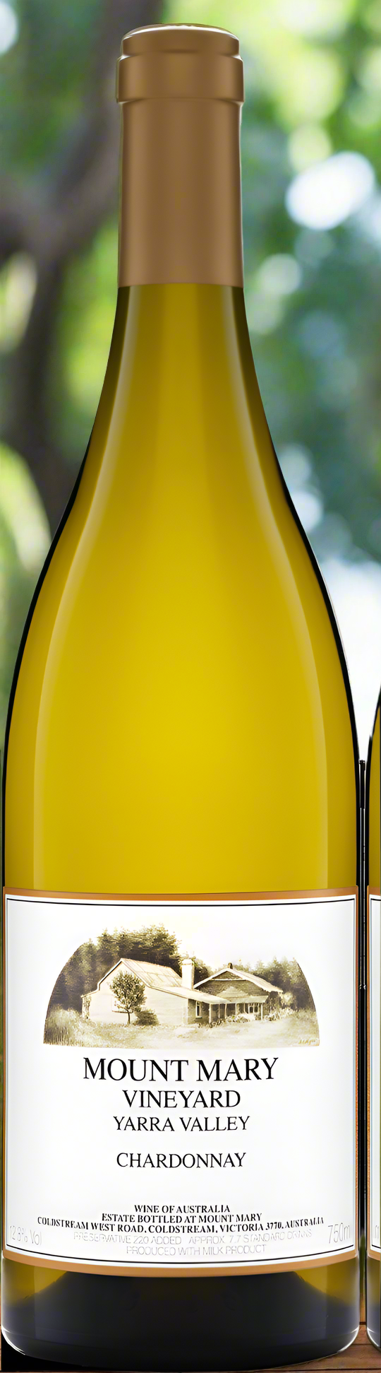 Mount Mary Chardonnay