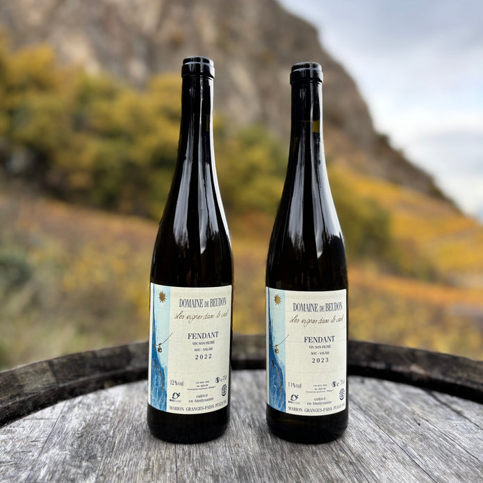 Domaine de Beudon Valais Fendant VV