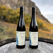 Domaine de Beudon Valais Fendant VV