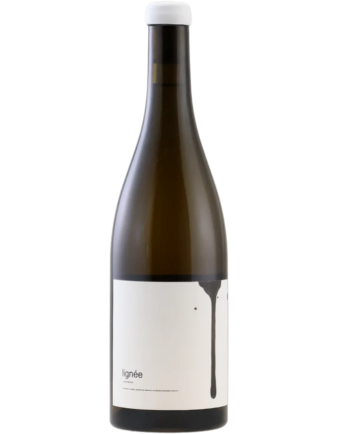 Lignée Sauvignon Blanc