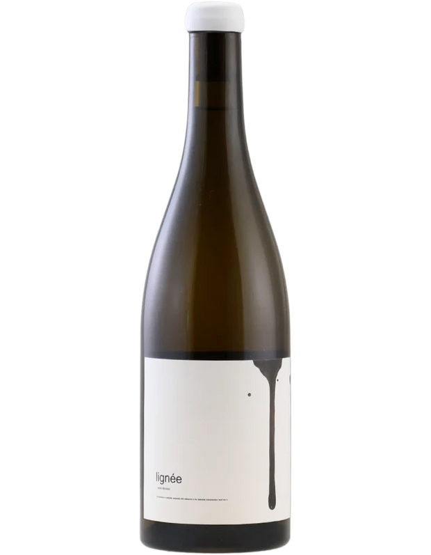 Lignée Sauvignon Blanc