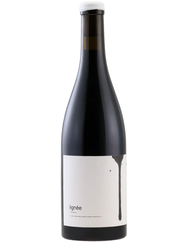 Lignée Shiraz