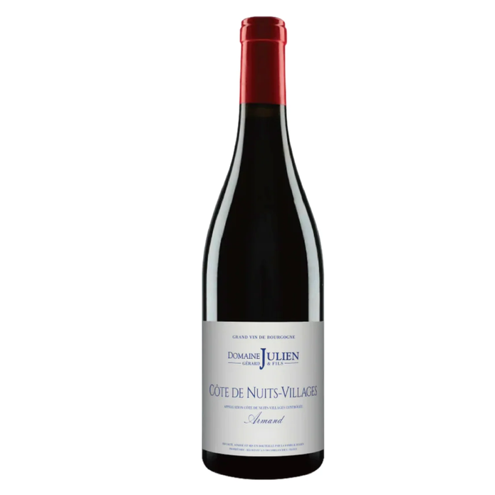Domaine Gerard Julien & Fils Cotes de Nuits 'Armand'