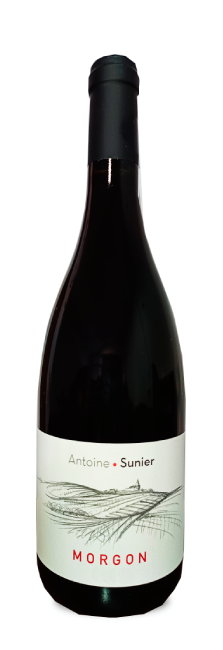 Antoine Sunier AOC ‌Morgon‌