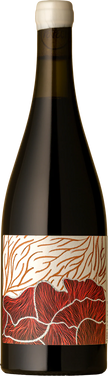 Future Perfect Shiraz