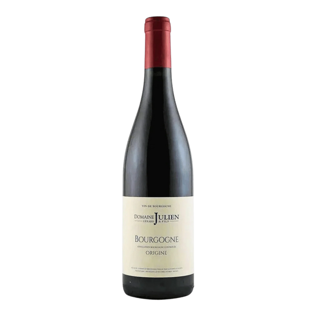 Domaine Gerard Julien & Fils Bourgogne Rouge 'Origine'