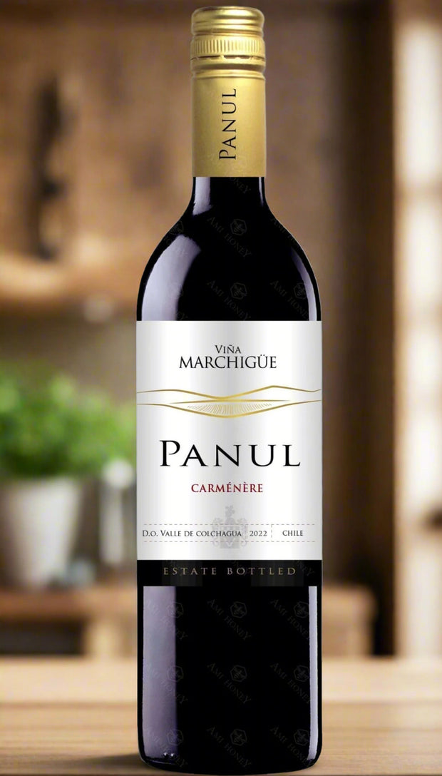 2020 Panul Reserva Carmenere 12 Pack