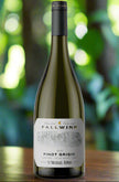 wine