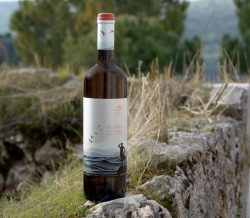 Douloufakis Alargo Assyrtiko